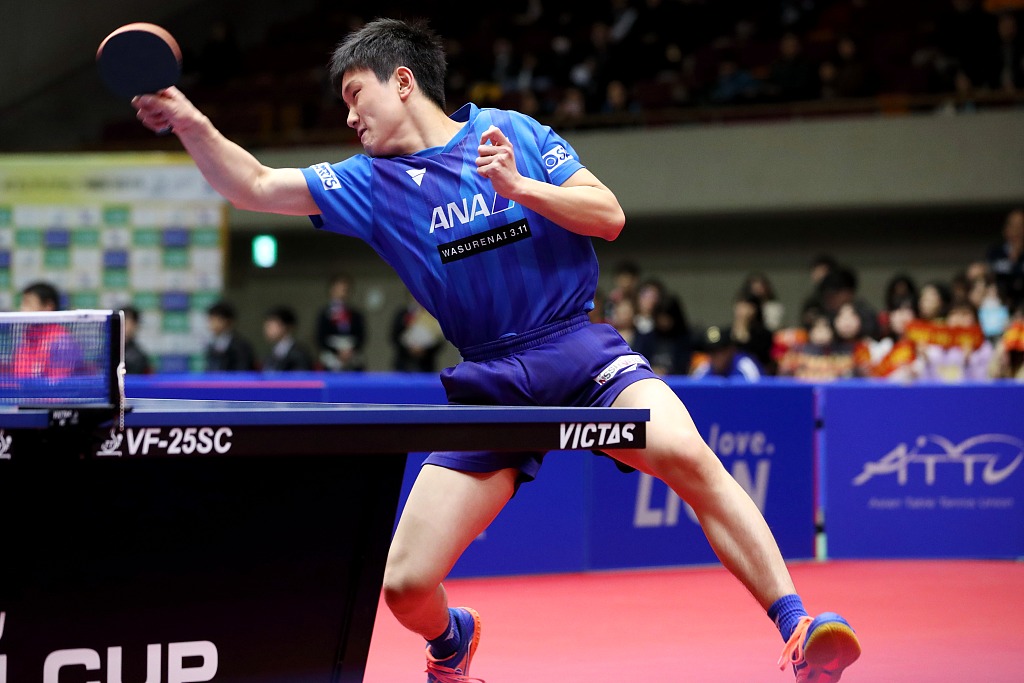 夕阳光影映 夕阳光影映