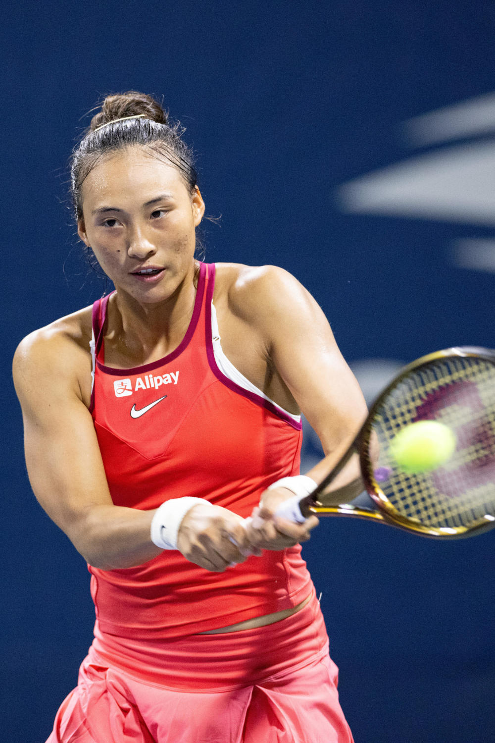 但凭借丰富 但凭借丰富