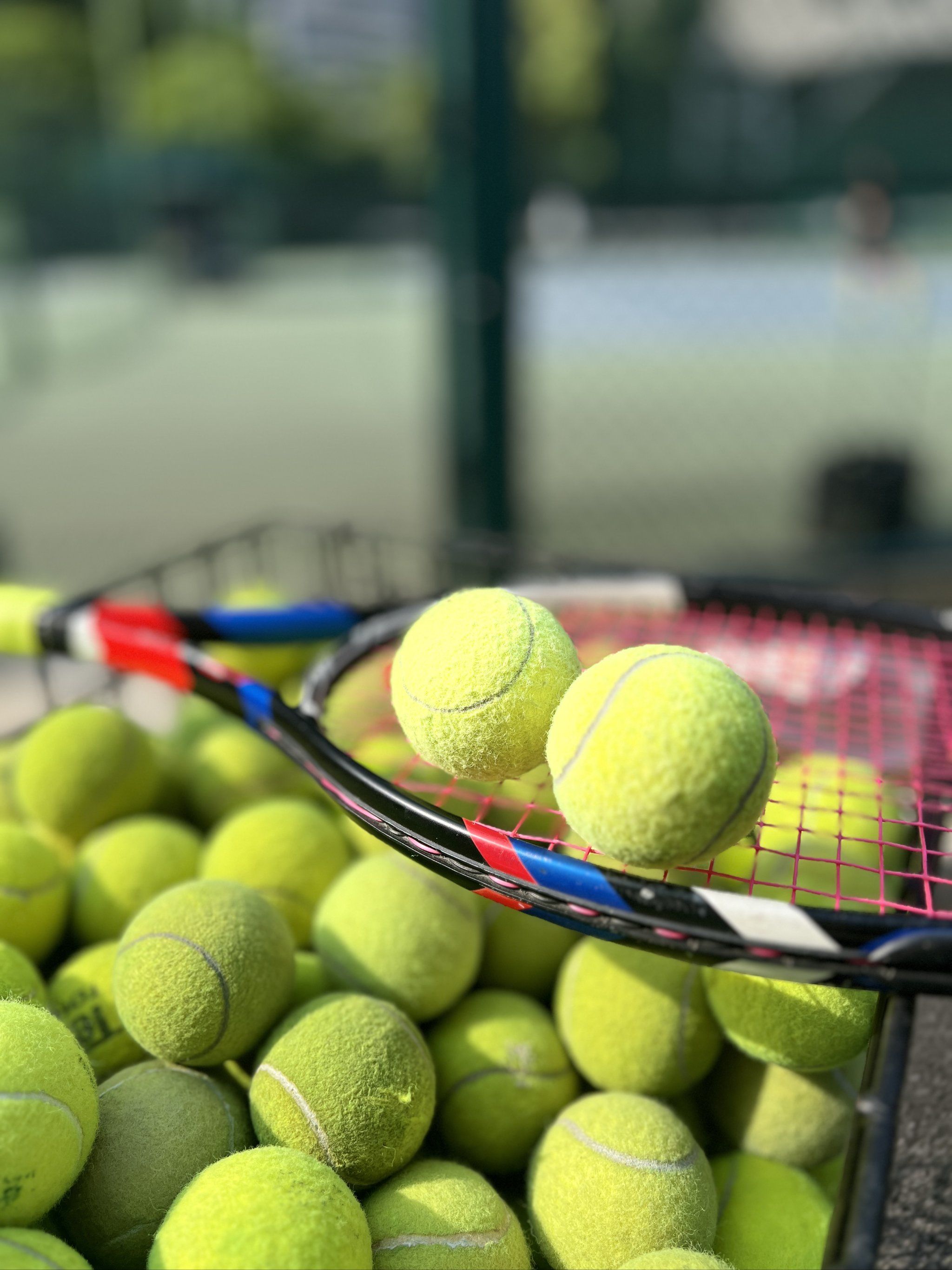 詹姆斯还通 詹姆斯还通