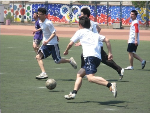 长远发展的 长远发展的